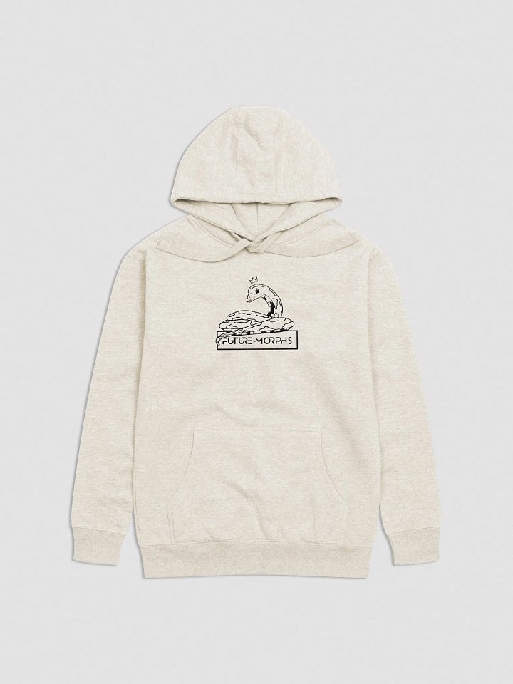 New Logo Hoodie Embroided product image (1)