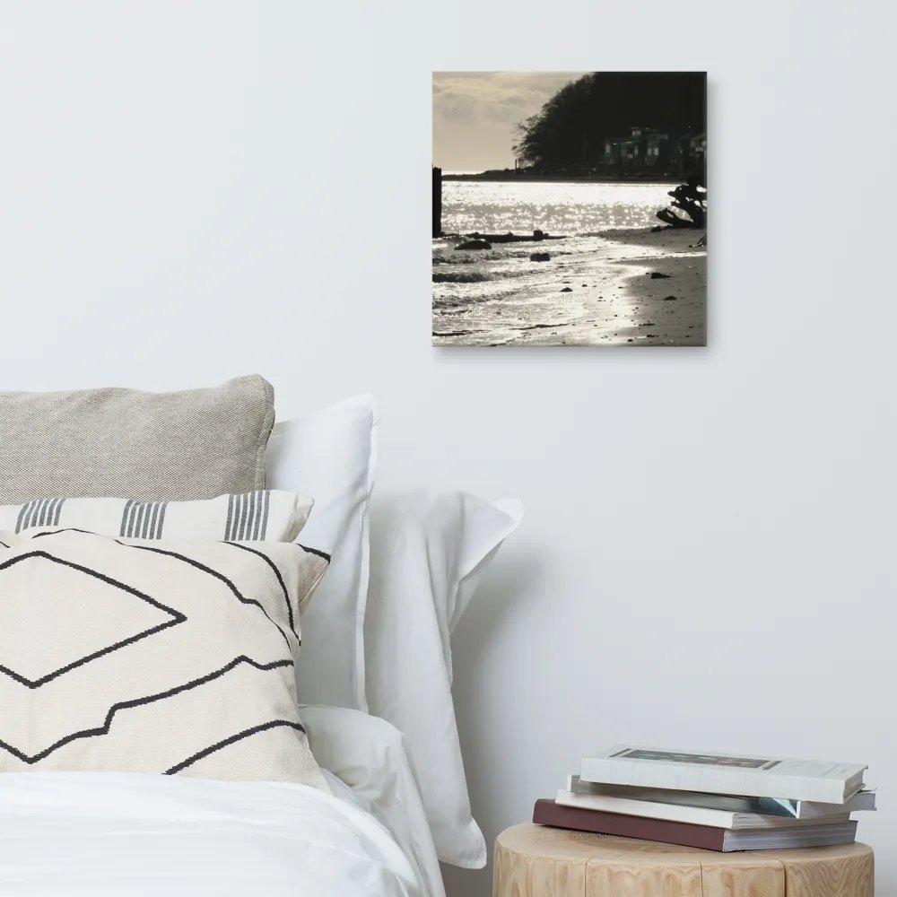 Point Roberts, Washington B&W product image (6)