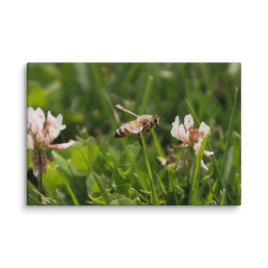 The Honey Bee product image (4)