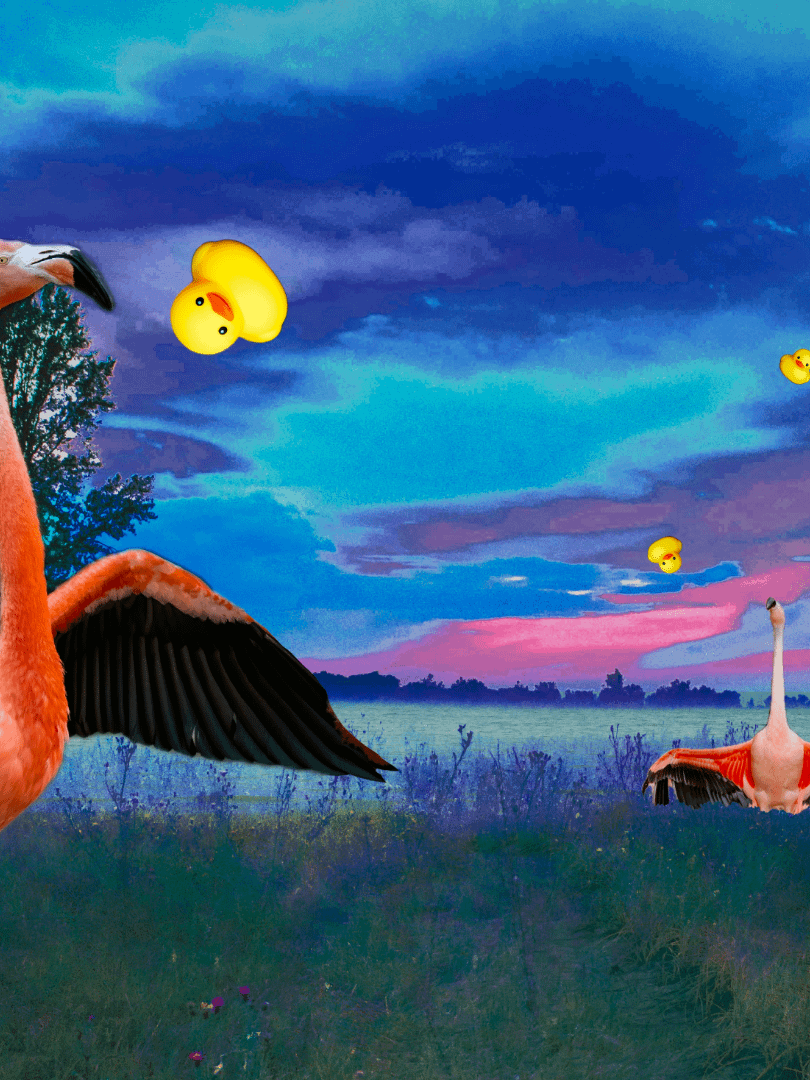A Collection of Unhinged Digital Downloads product image (5)