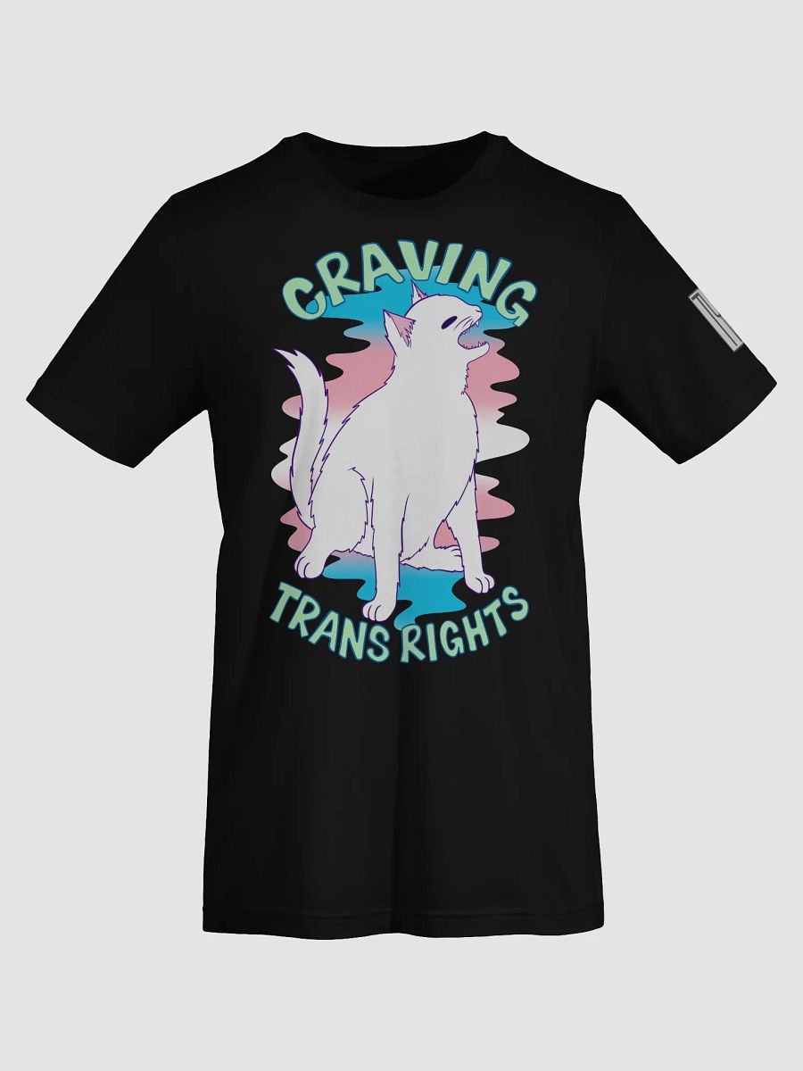 Happy Pride: Transgender T-shirt product image (60)