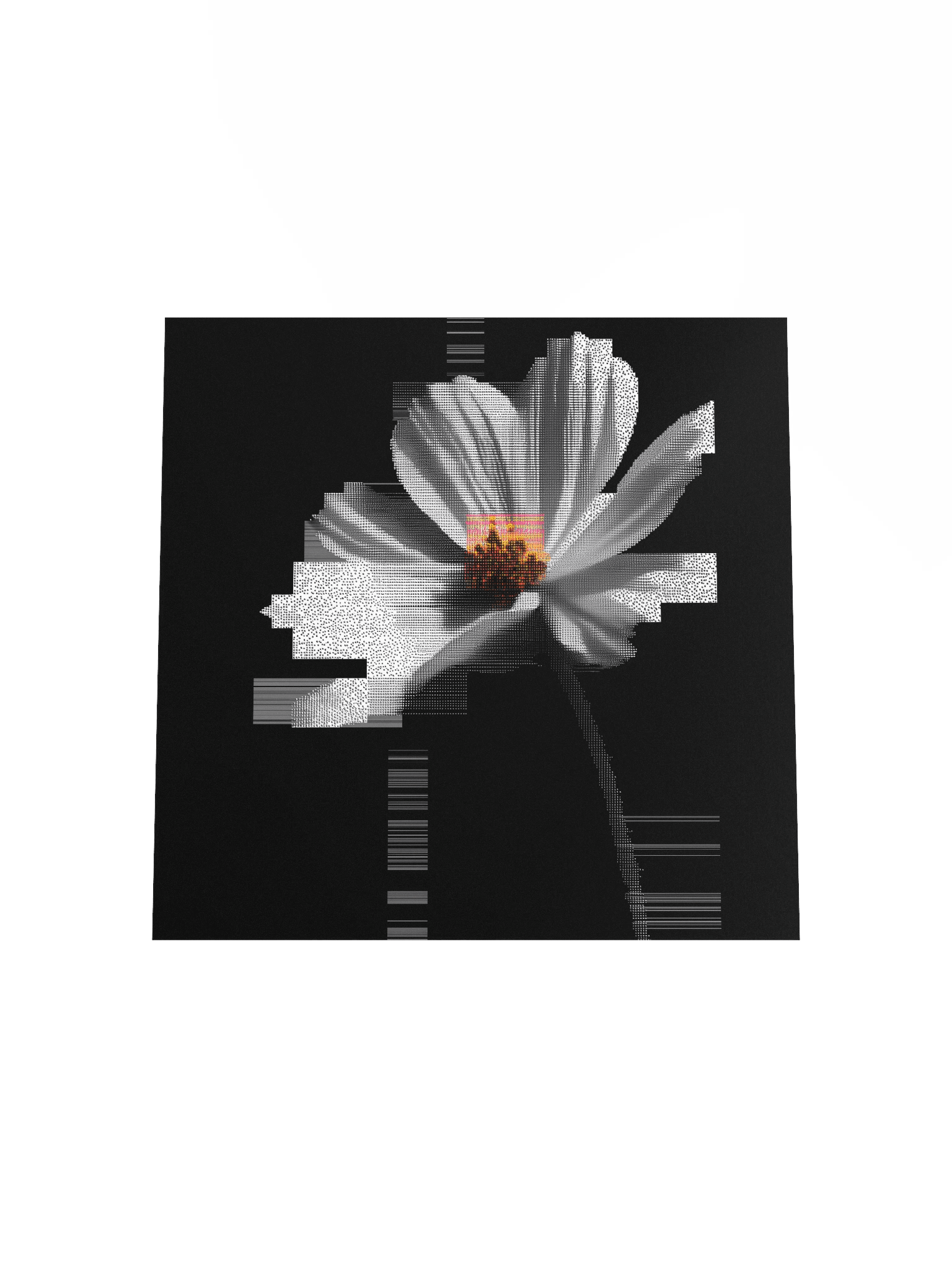 Flora.exe product image (19)