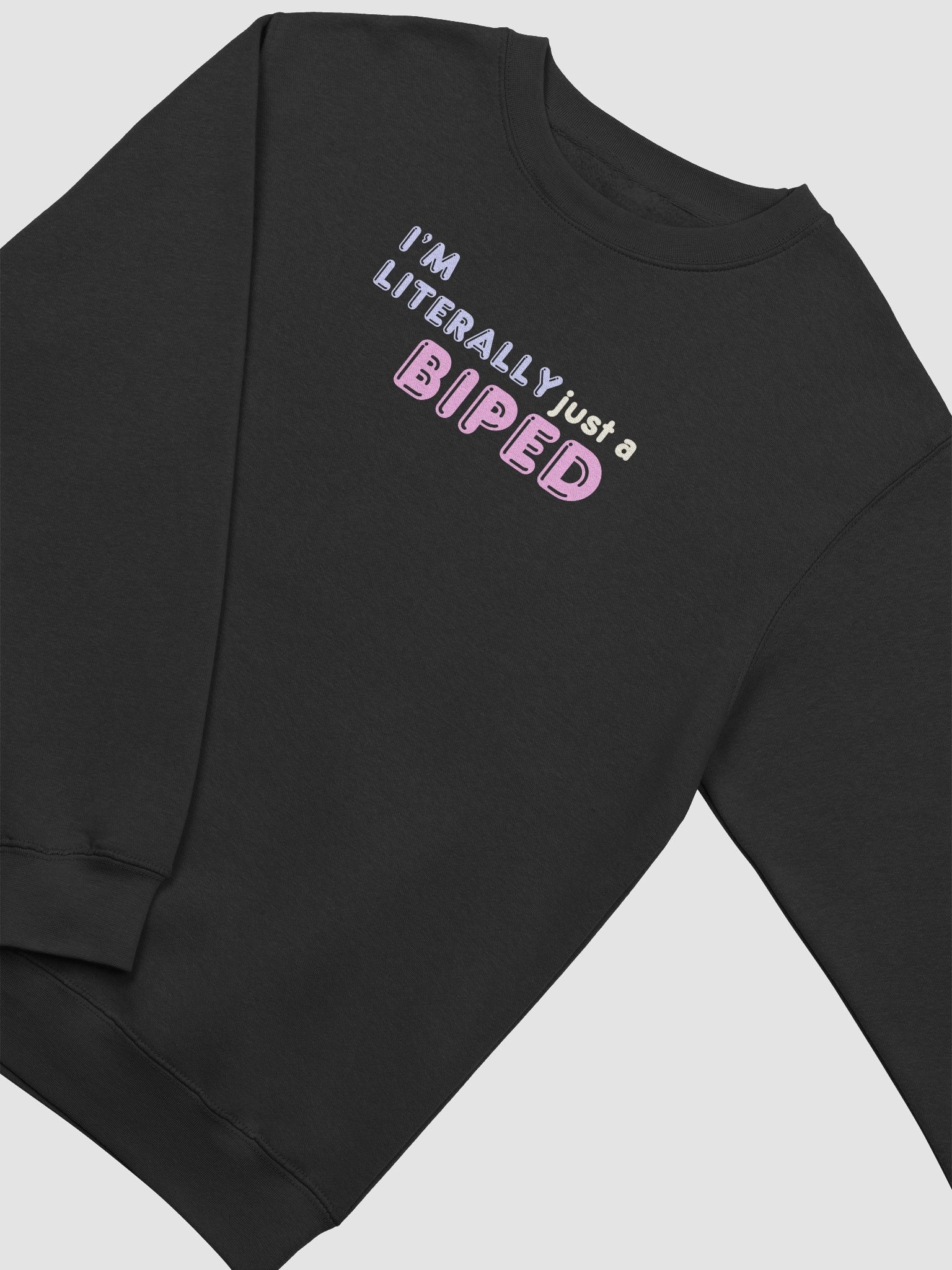 Literally Just a Sweatshirt product image (2)