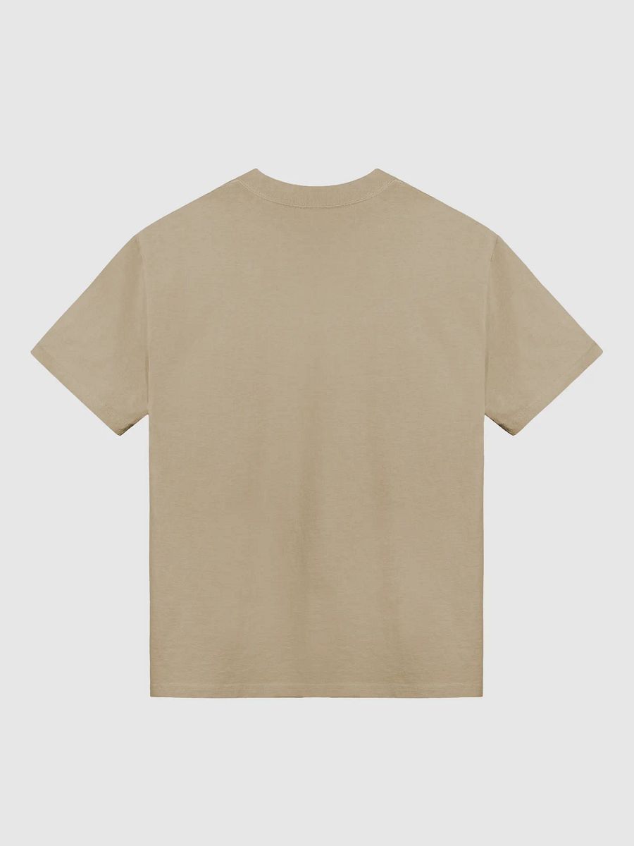 Sahasrara Faded Tee product image (4)