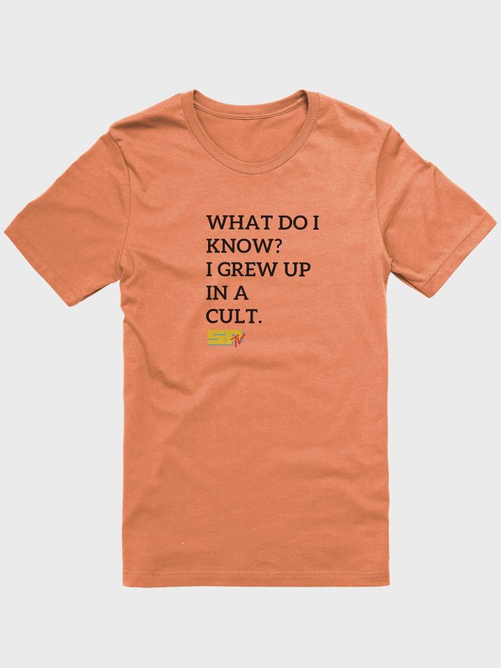 What Do I Know? Left. B on W. Bella Super Soft T-Shirt product image (3)