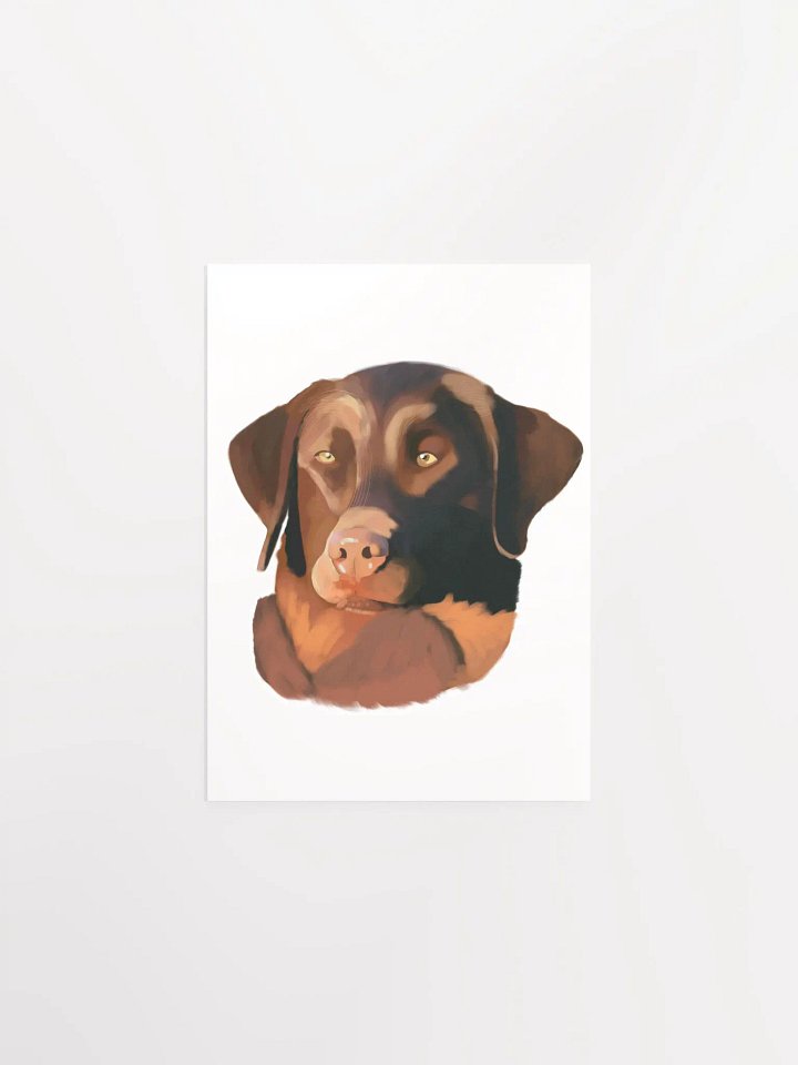 Chesapeake Bay Retriever product image (4)