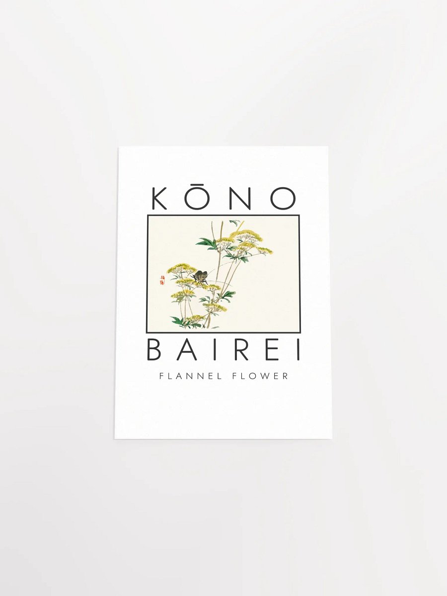 Kono Bairei Flannel Flower Poster product image (5)