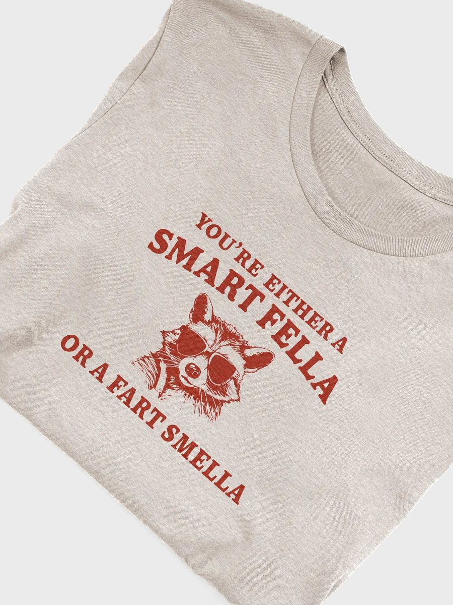 Smart Fella or Fart Smella T-Shirt product image (5)