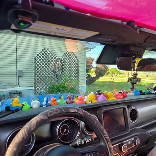 Running around this weekend we didn't get ducked but we did add something even better to our duck collection. Can you find hi...