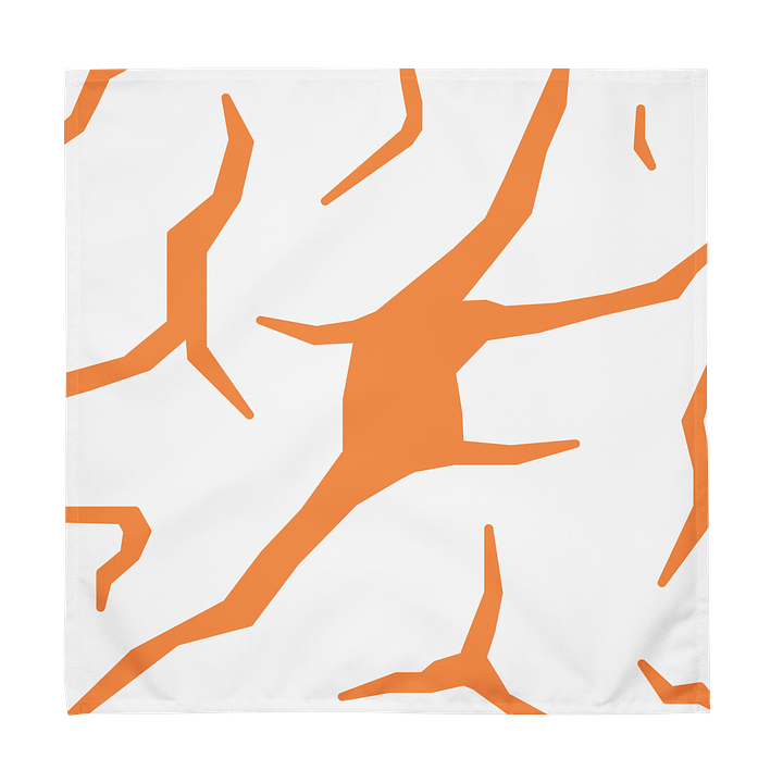 Cracked Orange Cloth Napkin Set product image (1)