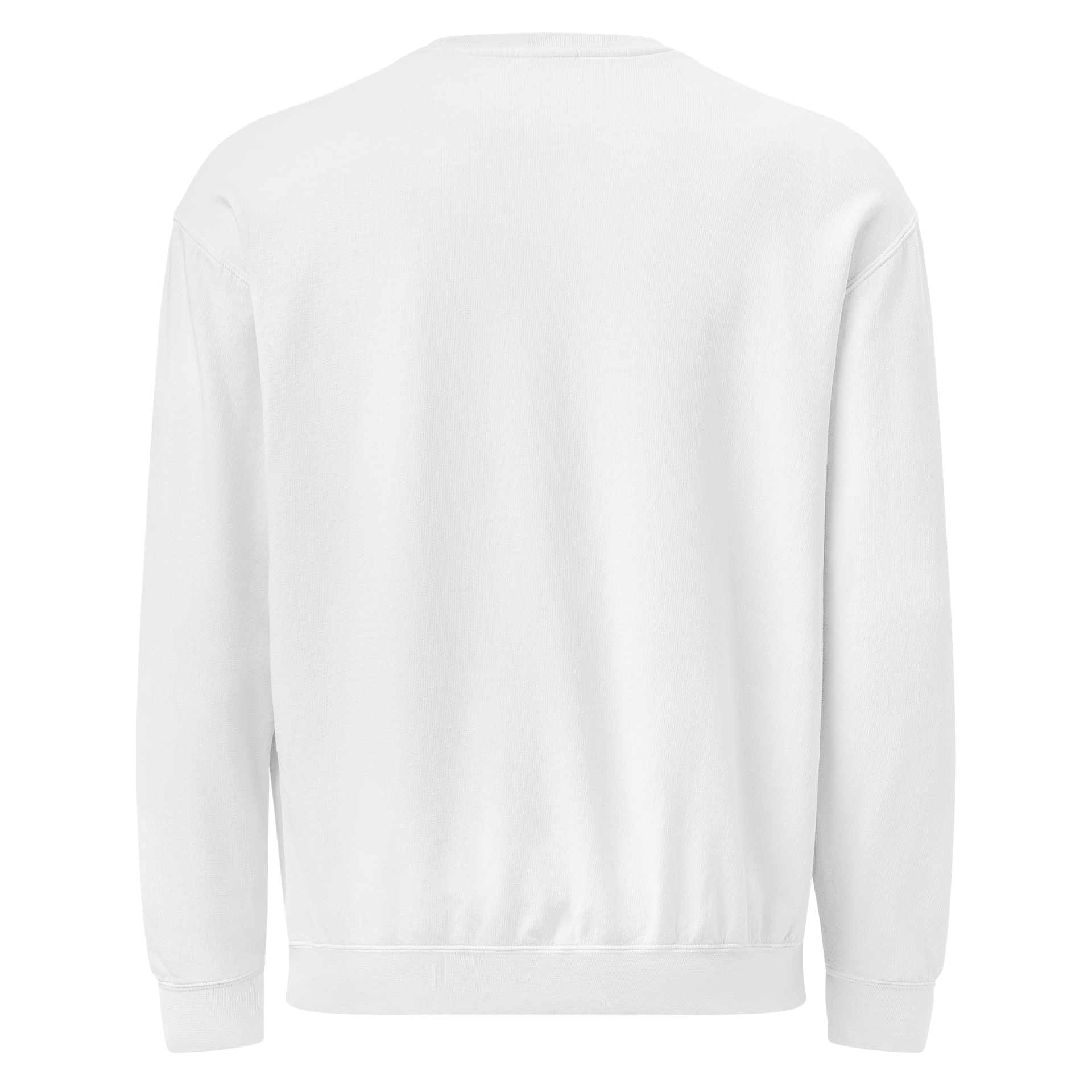 You Can Read This One Comfort Colors Sweatshirt product image (18)