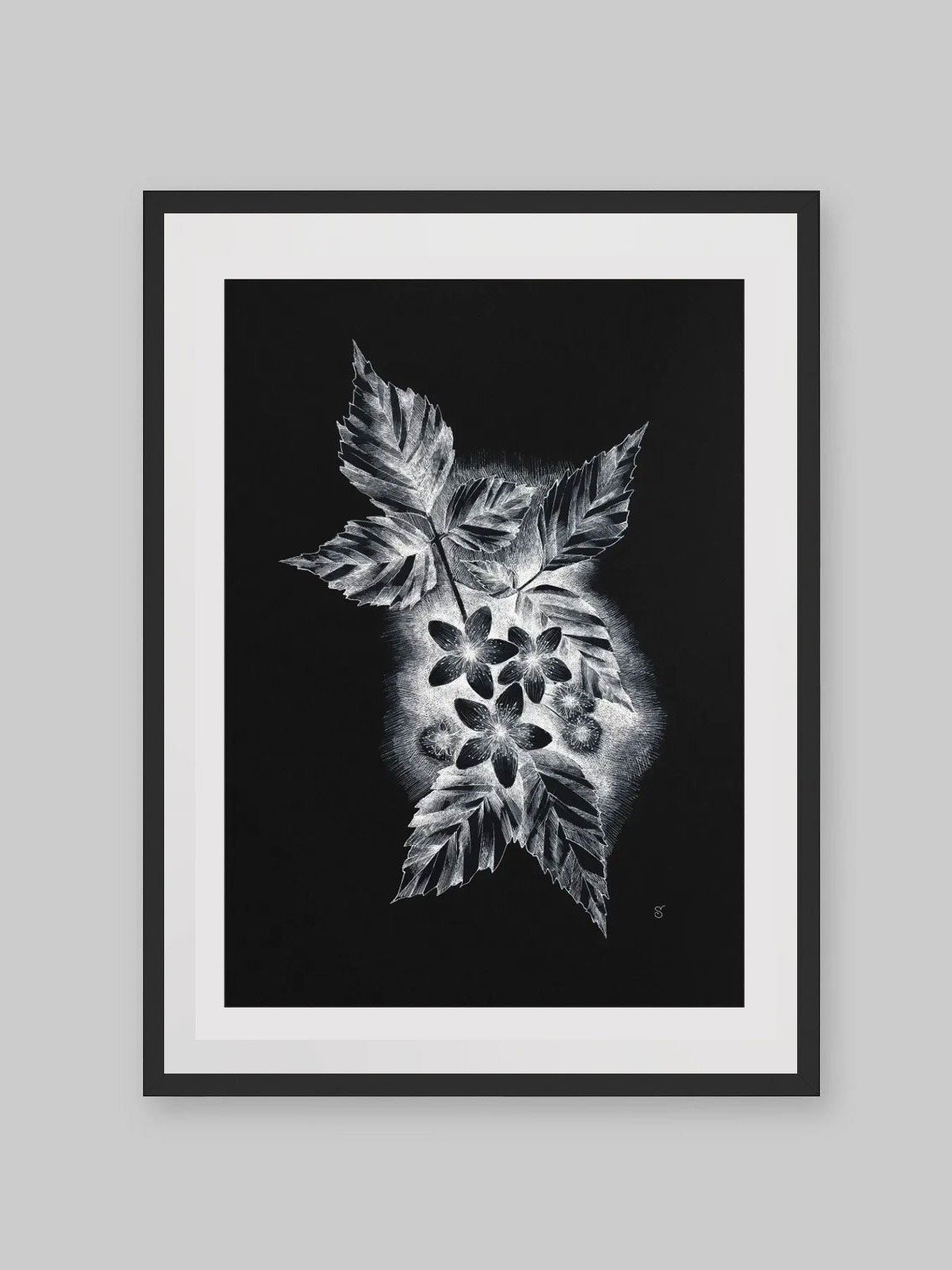 Botanical Bliss Matte Poster - Dark Jasmine product image (9)