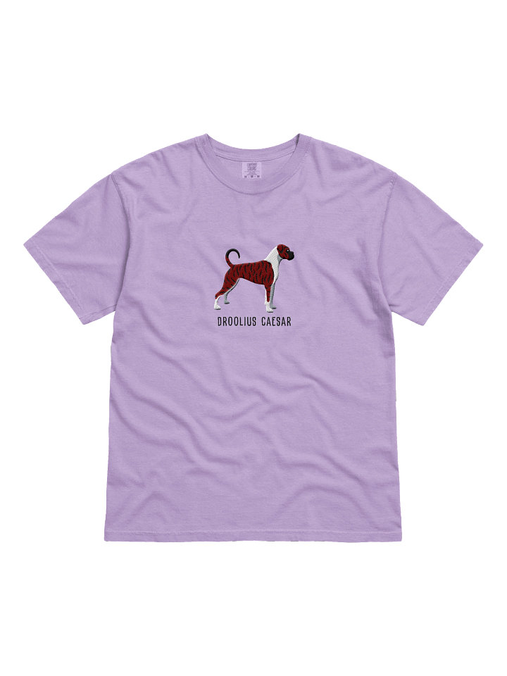 Droolius Caesar T-Shirt(Embroidered) of a Boxer(Brindle & White) product image (31)