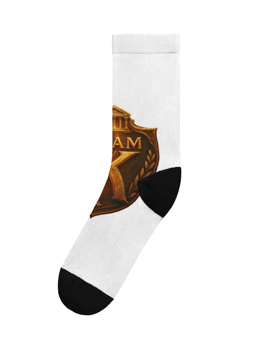 Team K V-5 Socks product image (1)