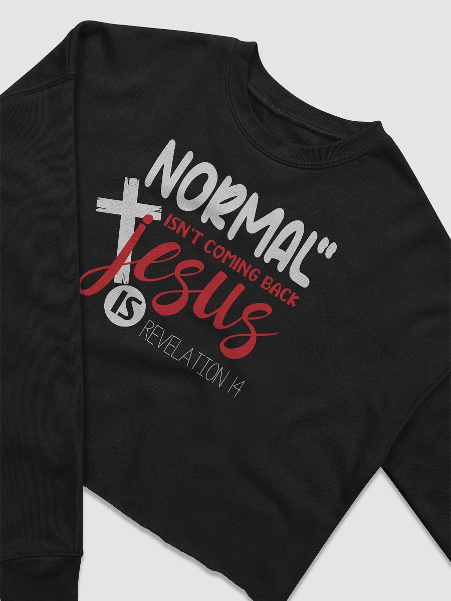 Revelation's Return: Jesus, Beyond Normalcy product image (4)