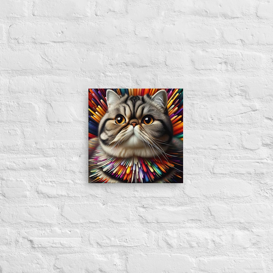 Canvas (in): Exotic Shorthair product image (12)