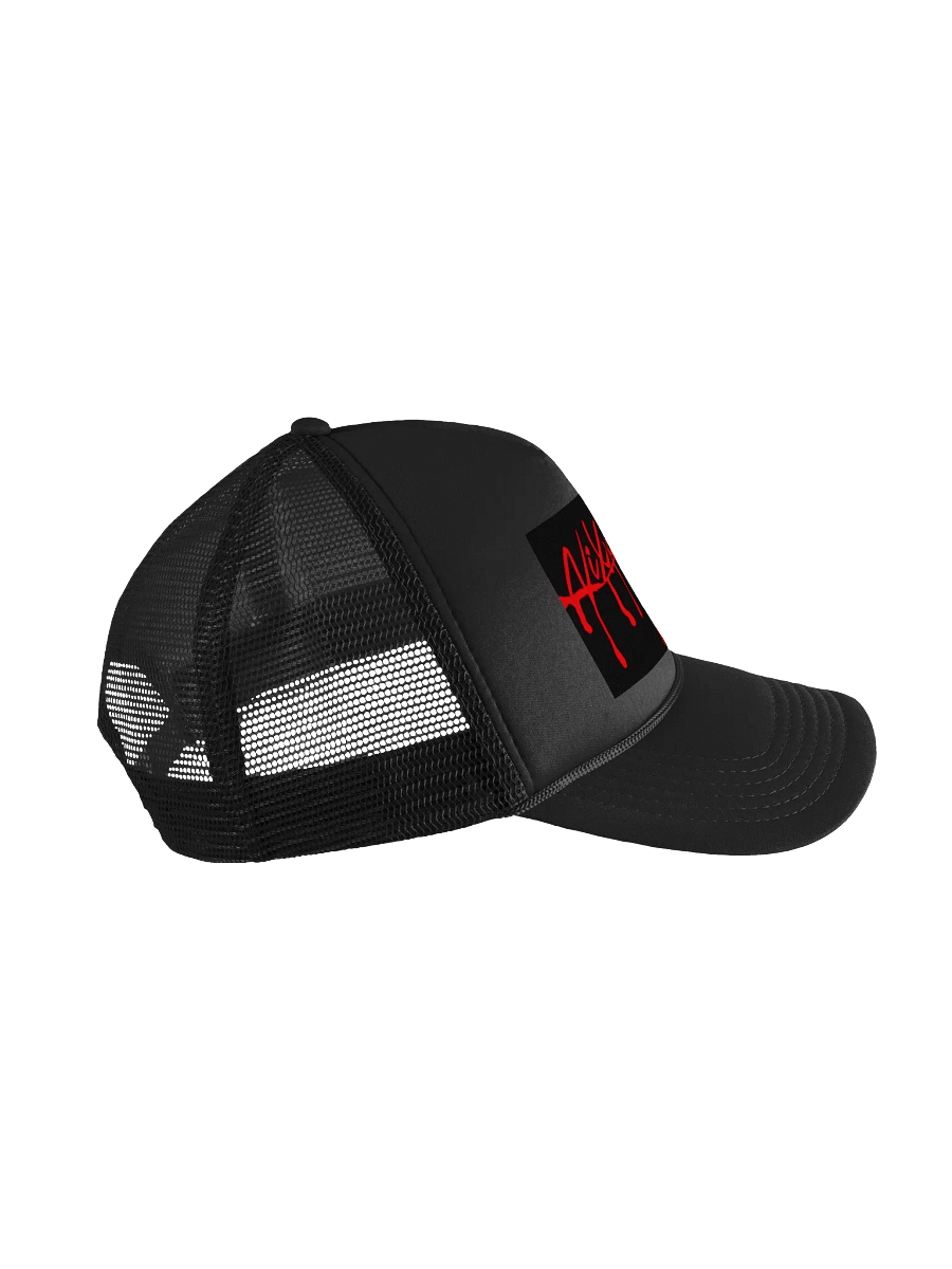 WHOLE LOTTA NIXXY HAT product image (4)