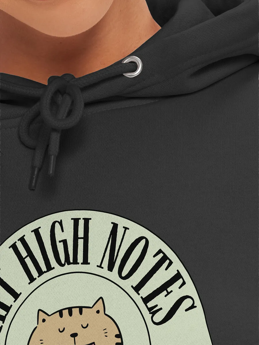 I Hit High Notes For Breakfast - Funny Hoodie For Singers product image (7)