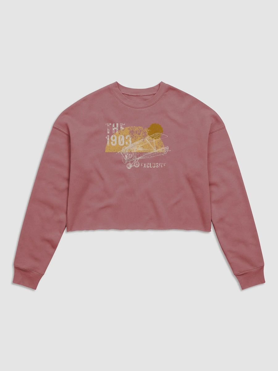 Ladies Cropped Bi Plane Sweatshirt product image (17)