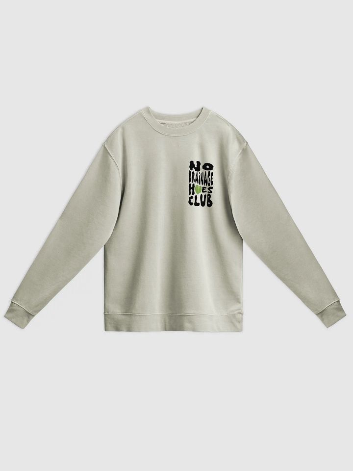 No Drainage Hoes Unisex Midweight Pigment Dyed Crewneck (multiple colours) product image (2)