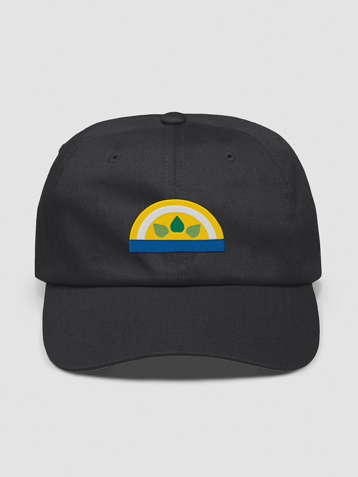 Sun buckle cap product image (2)