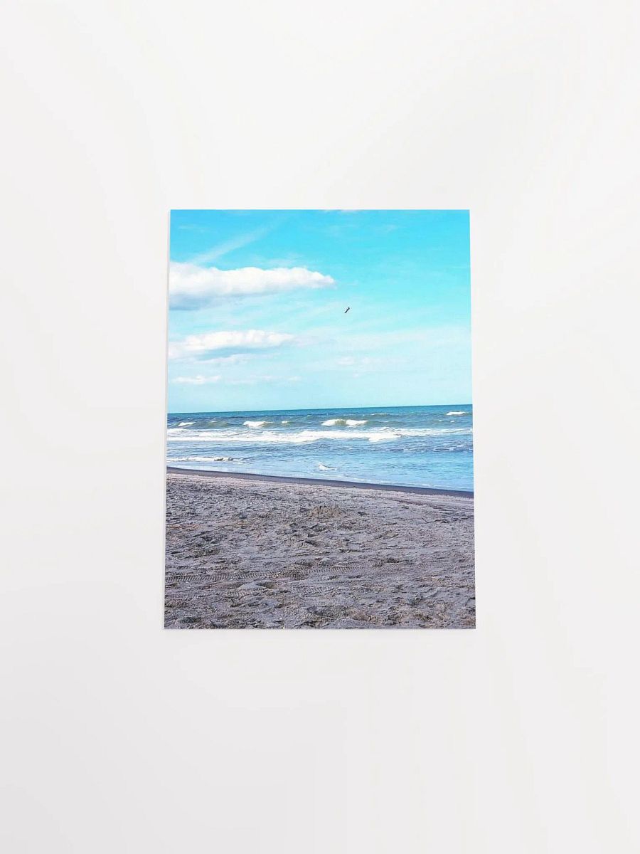 Wilber By The Sea product image (46)