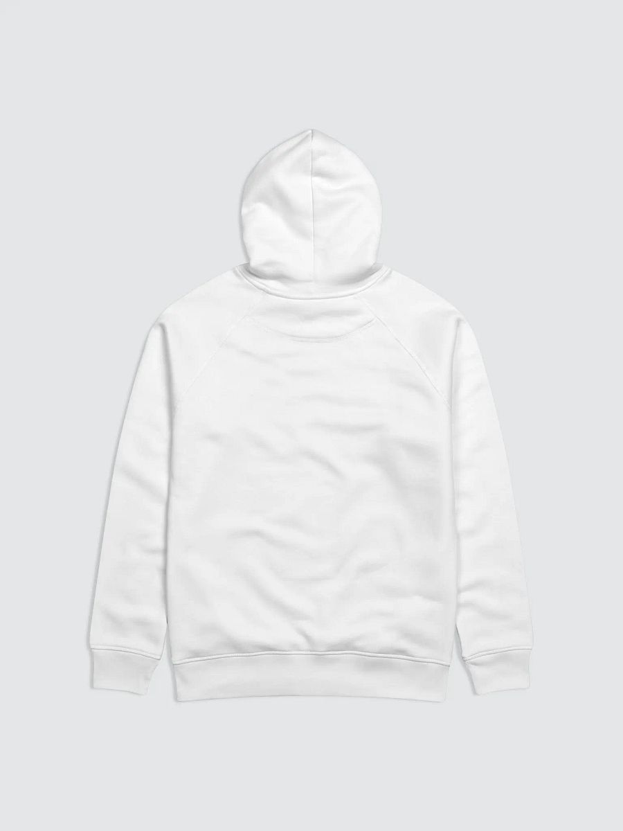 Power In the Blood | Organic Cotton | Hoodie Male product image (3)