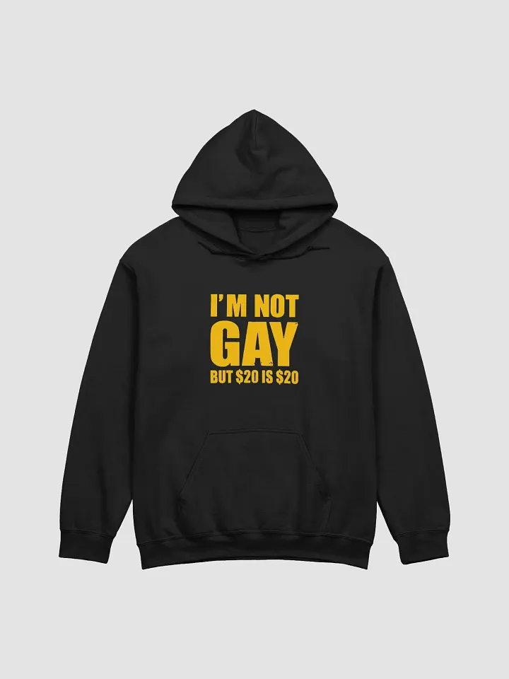 I'm Not Gay But $20 Is $20 Hoodie product image (1)