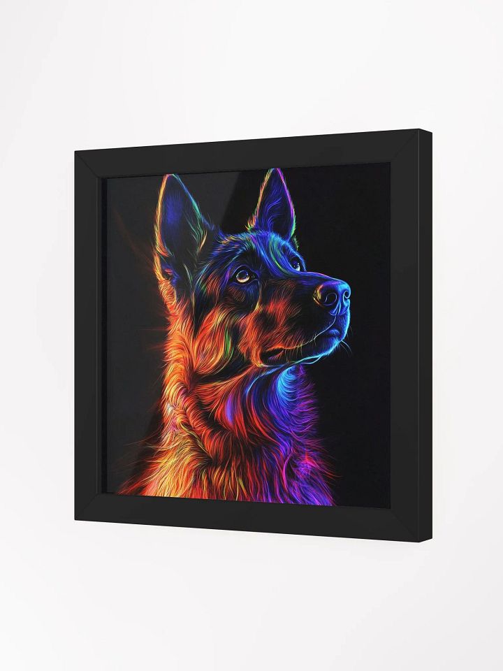Belgický ovčák Malinois, neonový product image (14)
