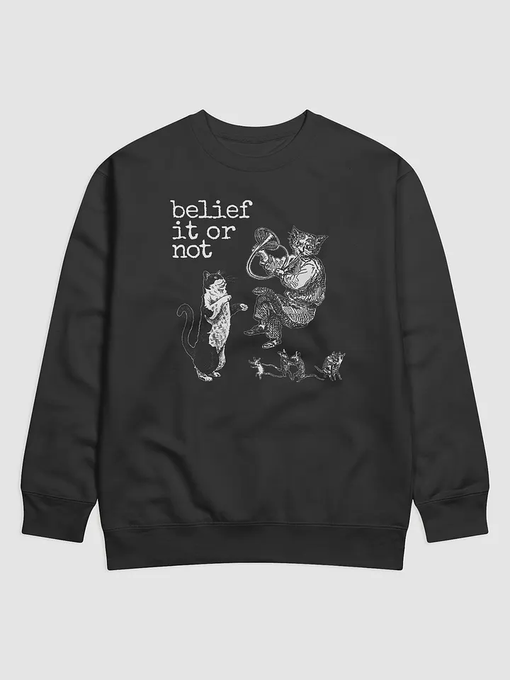 Jagger's Torment Sweatshirt product image (1)