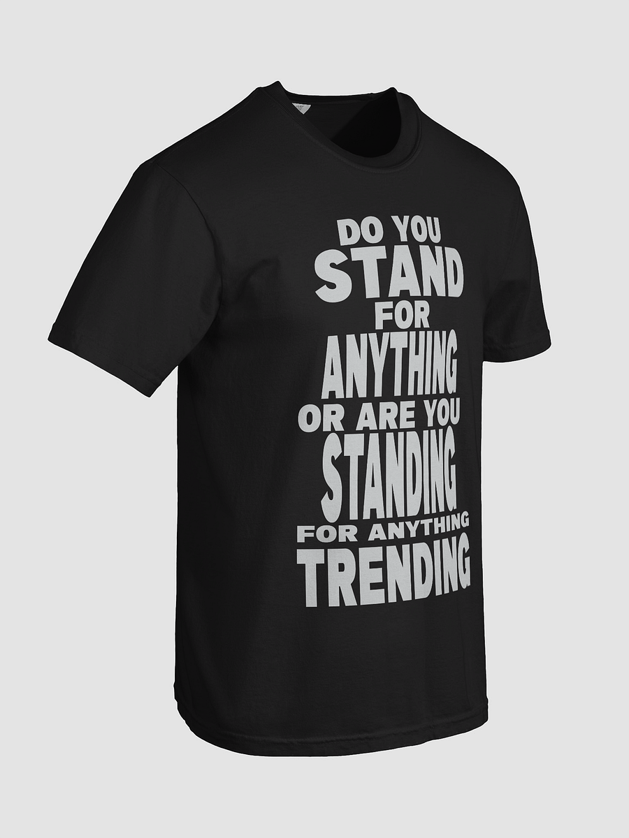Stand Out in Comfort: Trending Statement Tee product image (69)