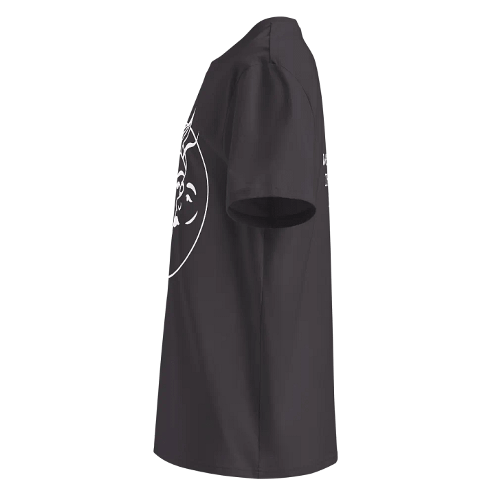 Celestial Norse Organic Tee product image (2)