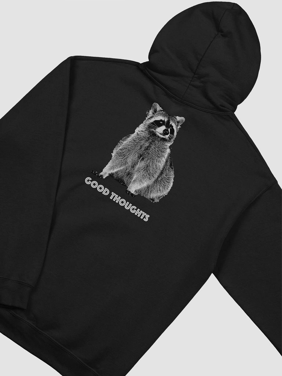 Good Thoughts Raccoon - Lunch Therapy - Unisex Heavy Blend™ Hooded Sweatshirt product image (33)