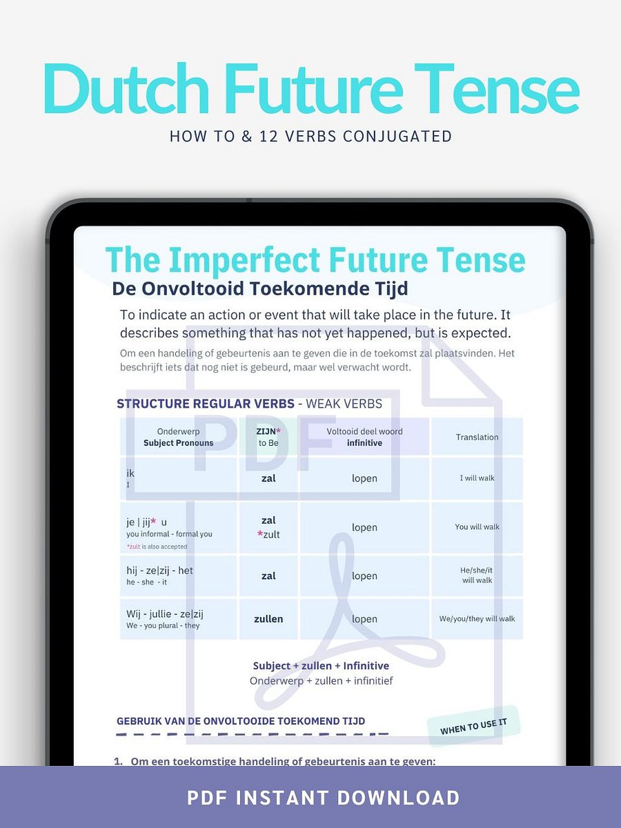 The Simple Future Tense product image (1)