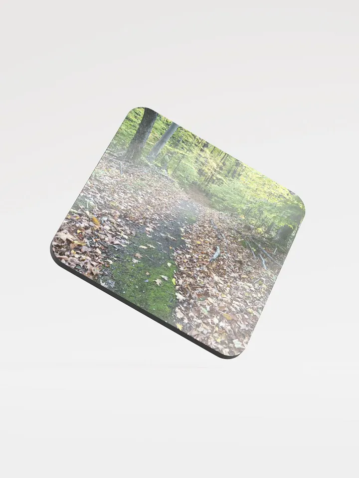 Fall Trail Cork Coaster product image (1)