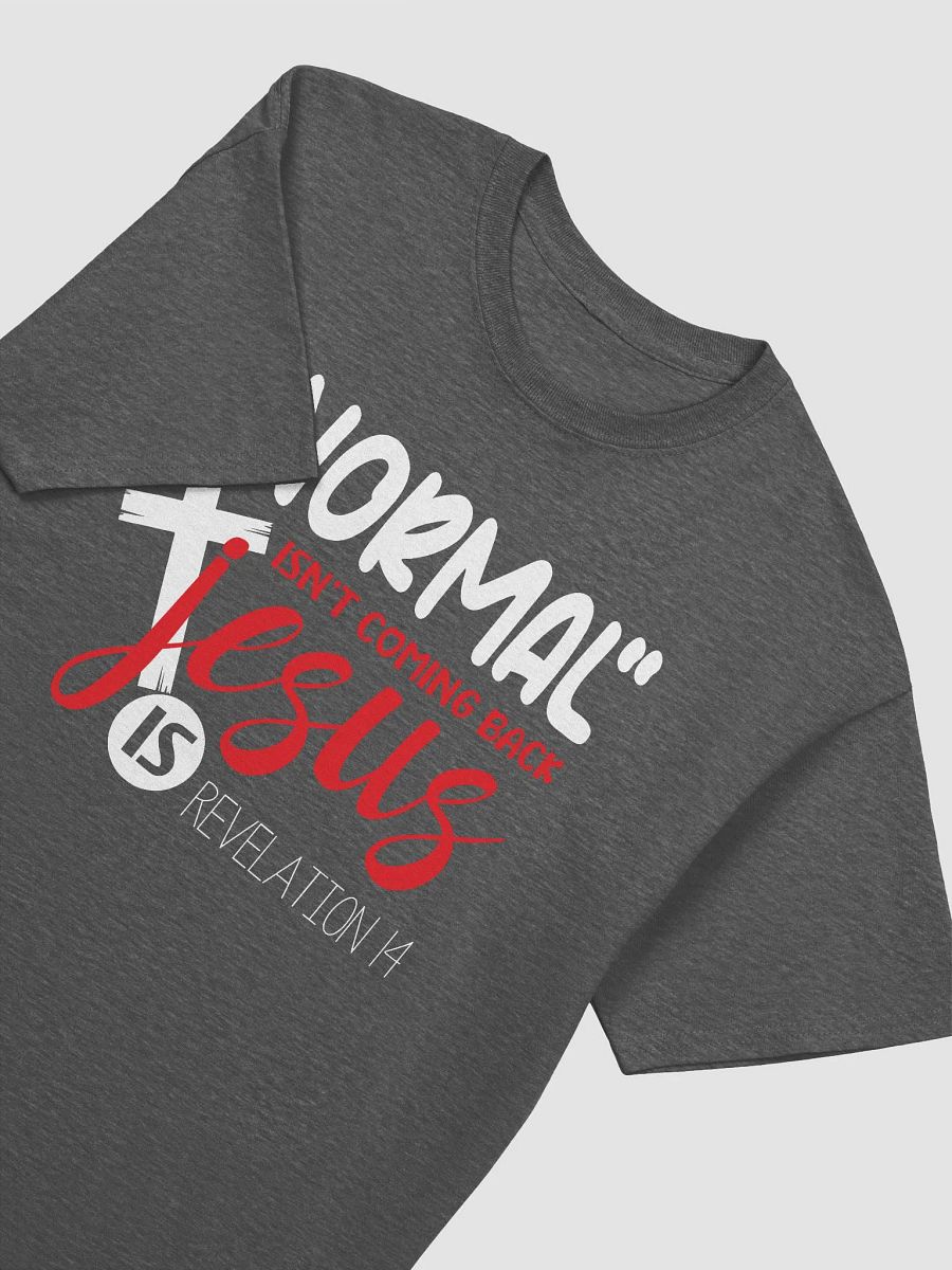 Revelation's Return: T-Shirt product image (15)