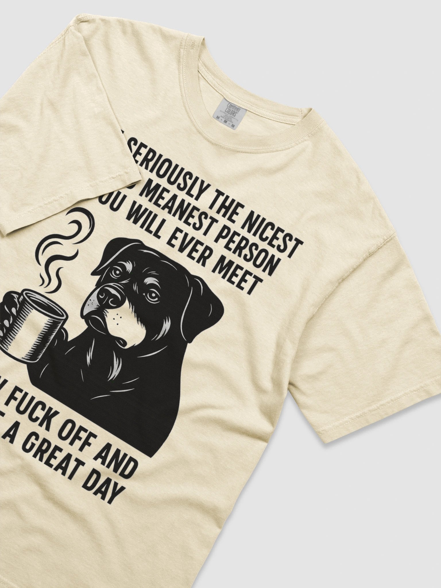 I'M SERIOUSLY THE NICEST AND MEANEST PERSON YOU WILL EVER MEET. NOW FUCK OFF AND HAVE A GREAT DAY Graphic Tee product image (10)