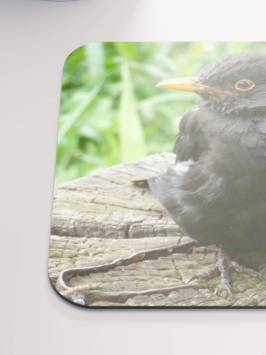 Classic Mouse Pad - The common blackbird #2 product image (6)