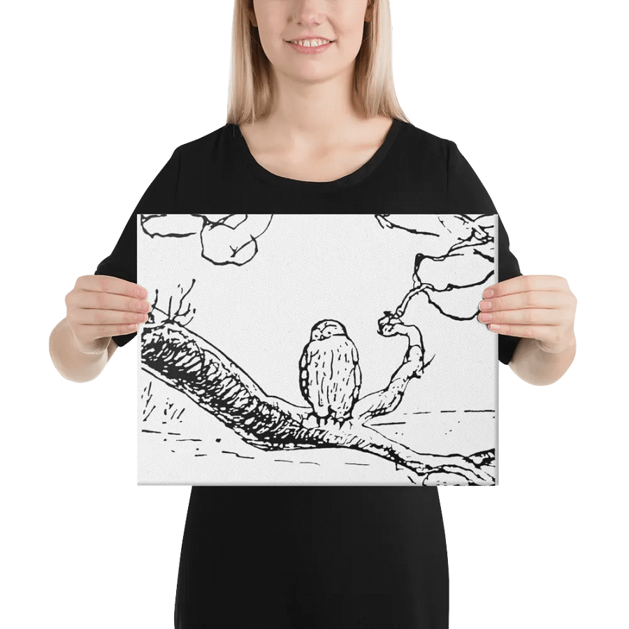 Owl on a Branch Canvas Artwork product image (3)