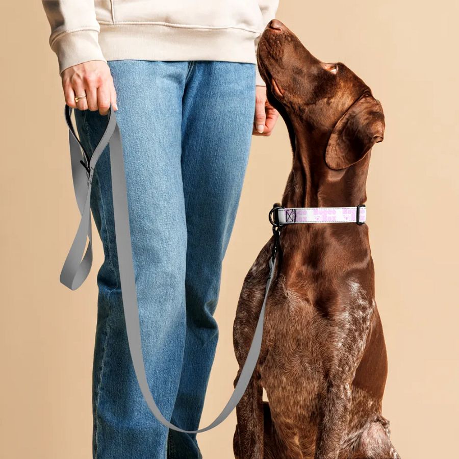 RoccoRox Dog Collar Size Large product image (4)