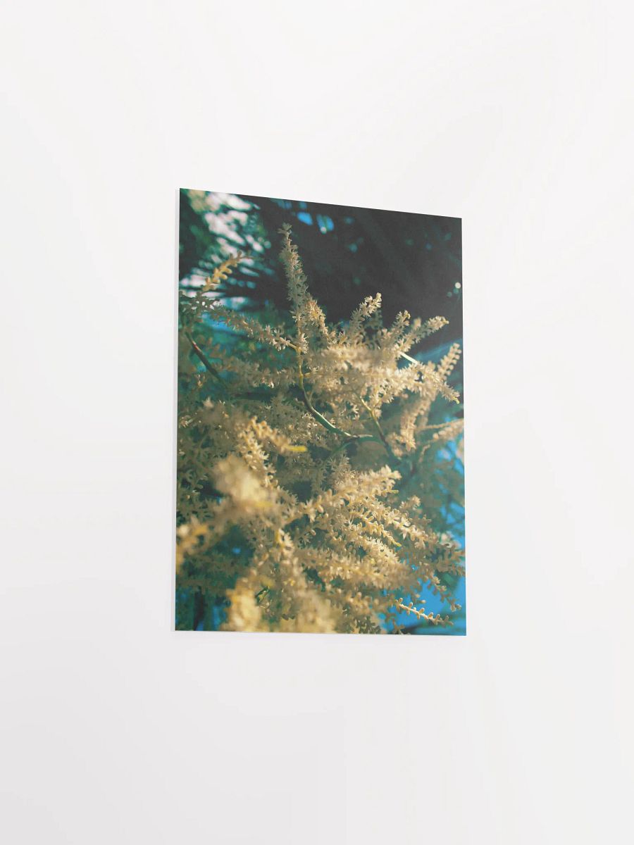 Tentacle of God product image (25)