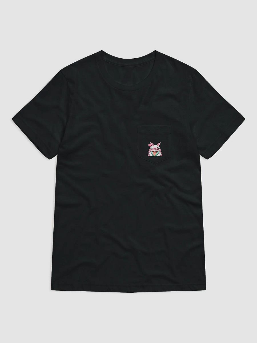 Polaris Pocket T product image (1)