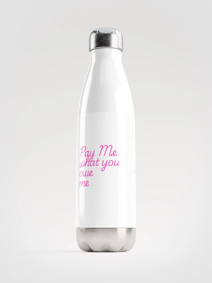 Stainless bottle product image (1)