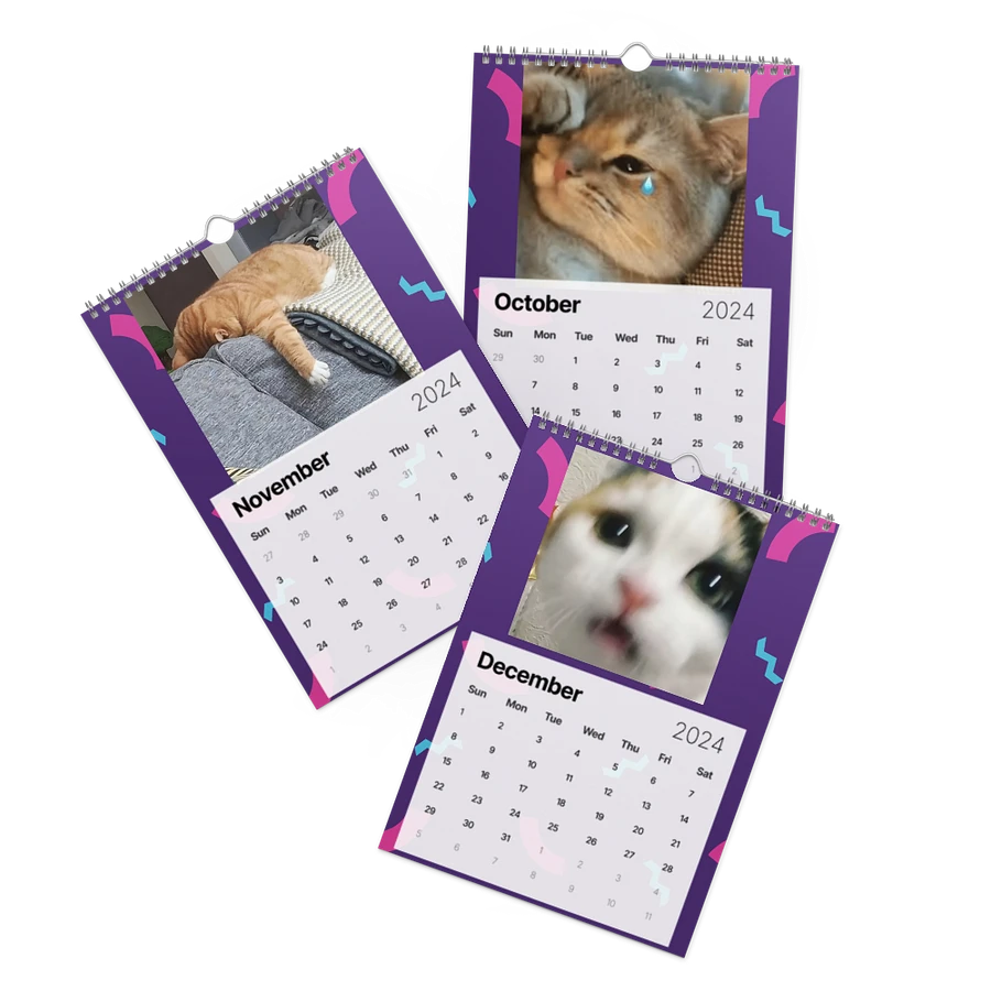 Wall Calendar (2024): Meme Cats product image (16)