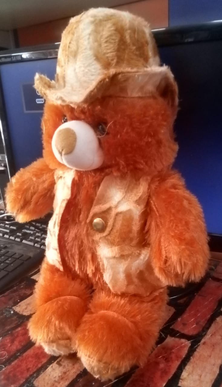 TEDDY BEAR product image (4)