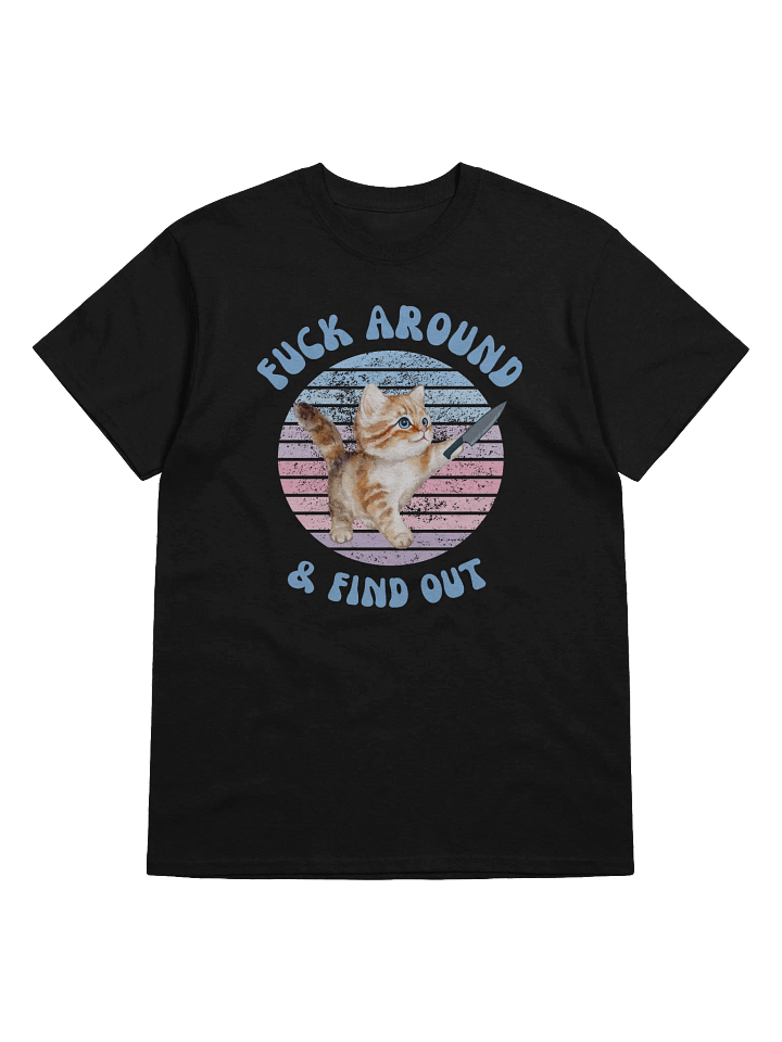Fuck Around And Find Out T-Shirt product image (1)