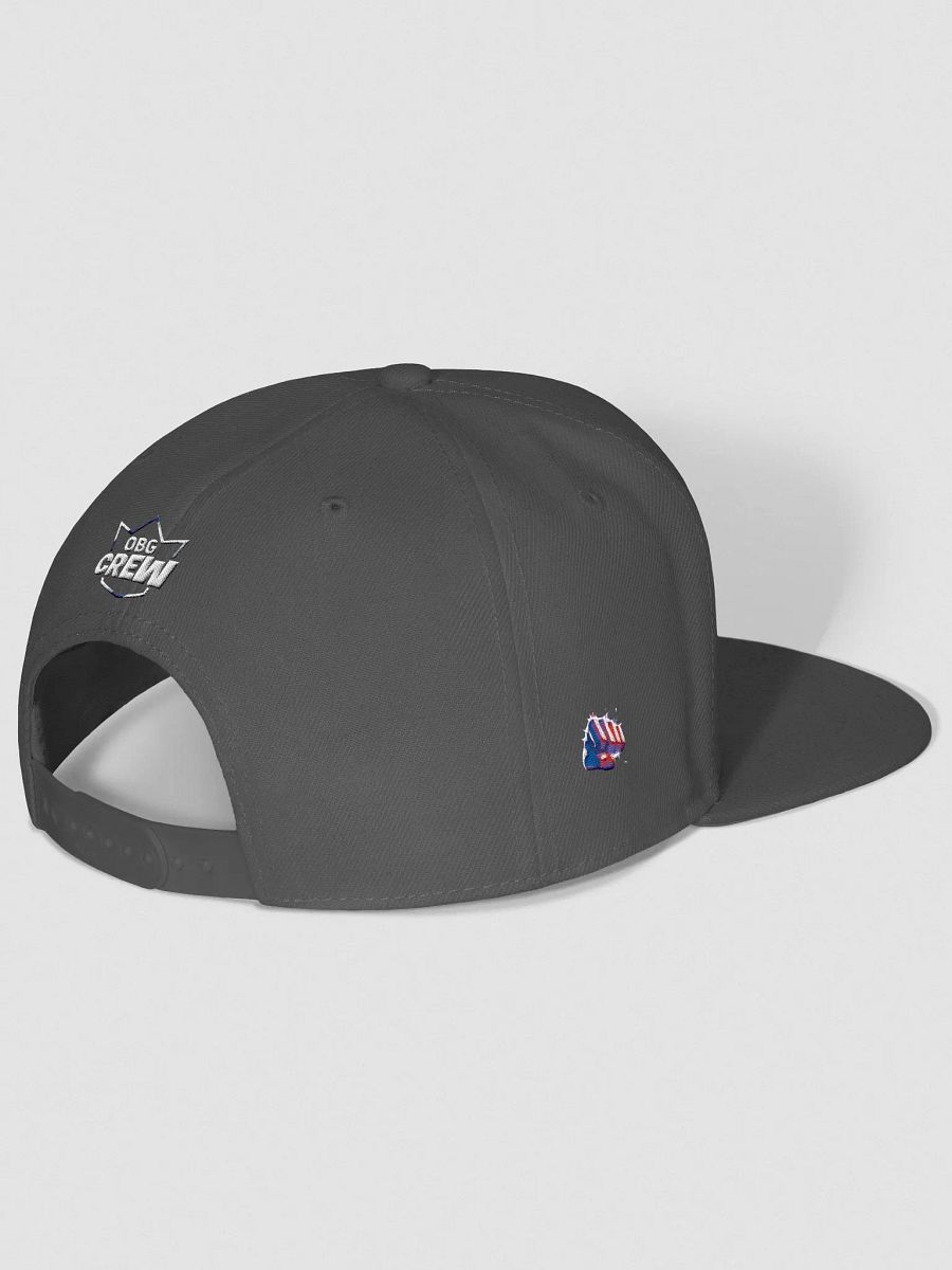 TeamOBG Snapback: Grey product image (3)
