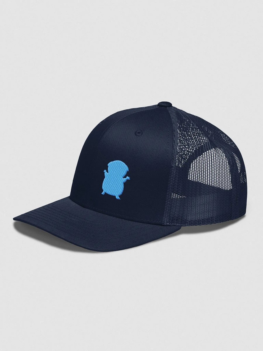 FIRESNOUT NAVY AND TEAL HAT product image (2)