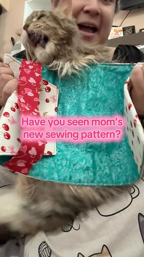 Things we do for our parents… but for real… have you seen the One Book cover to Rule Them All sewing pattern yet? #catsofinst...