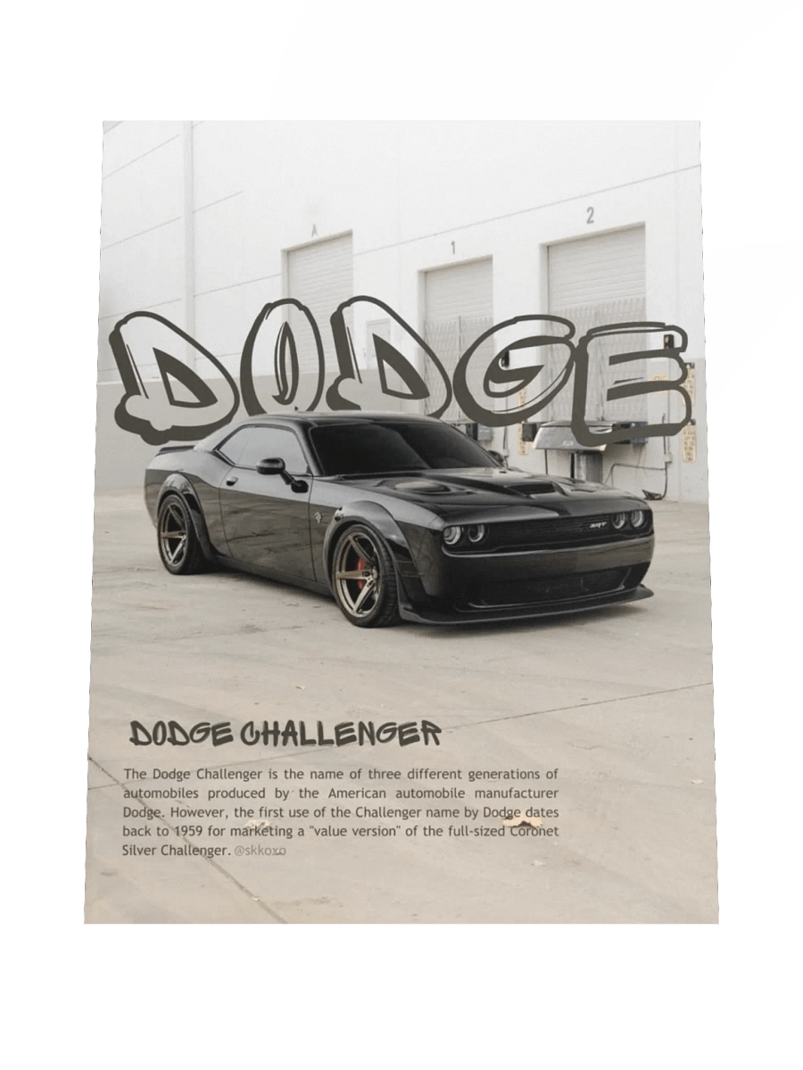 DODGE product image (4)